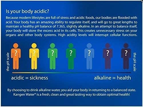 Enagic F8 Water Filter Cartridge for Leveluk K-8 – Premium Replacement (1 Pack, Made in Japan)